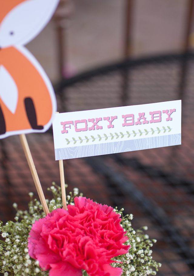 Foxy Baby Baby Shower