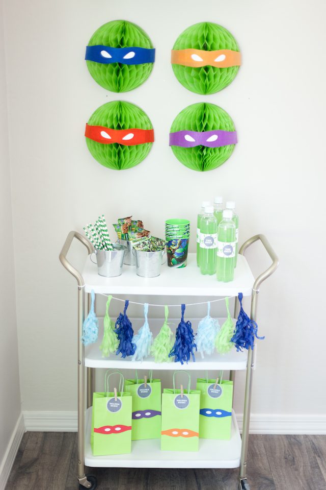 Teenage Mutant Ninja Turtle Party-12