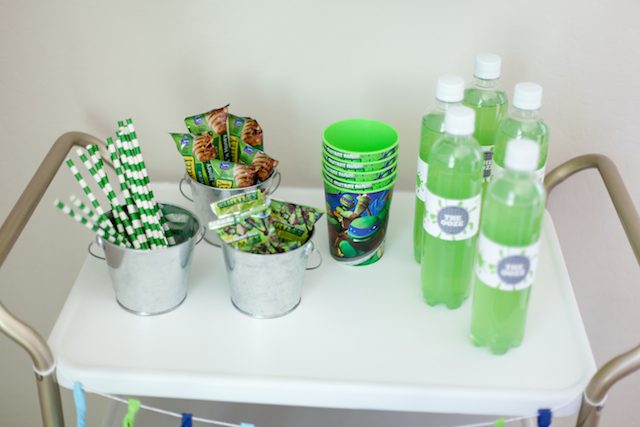 Teenage Mutant Ninja Turtle Party-15