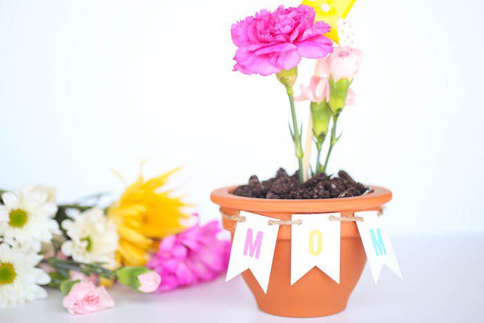 Mother's Day Flower Pot DIY Idea