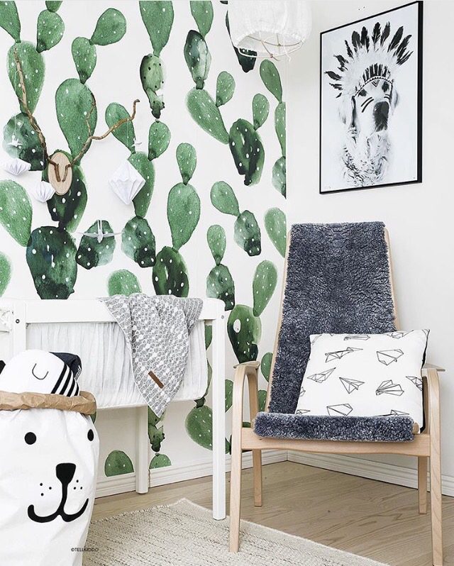 Cactus-Wallpaper
