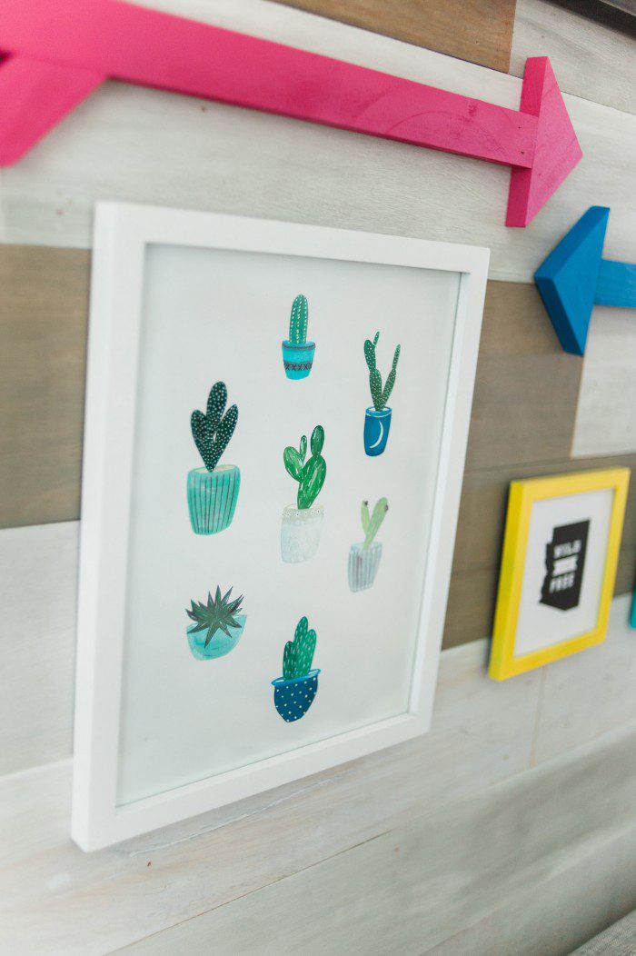 cacti print land of nod