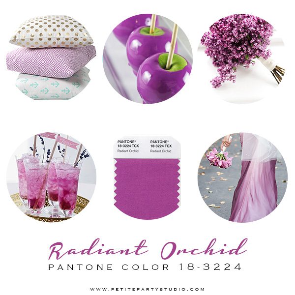 Radiant Orchid...Pantone Color of the Year 2014 | Rebecca Propes Design ...